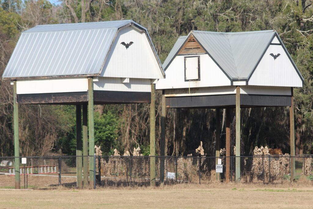 Bat Houses