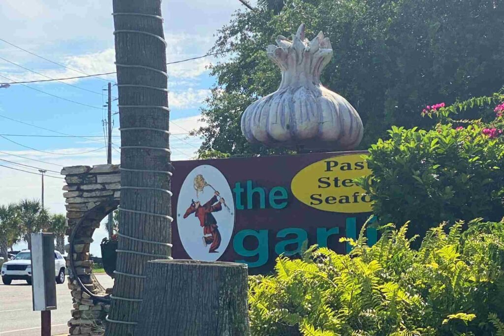 Photo of a Big Garlic