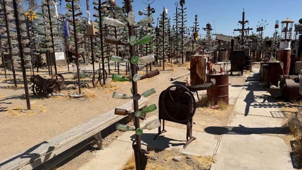 Photos of Bottle Trees