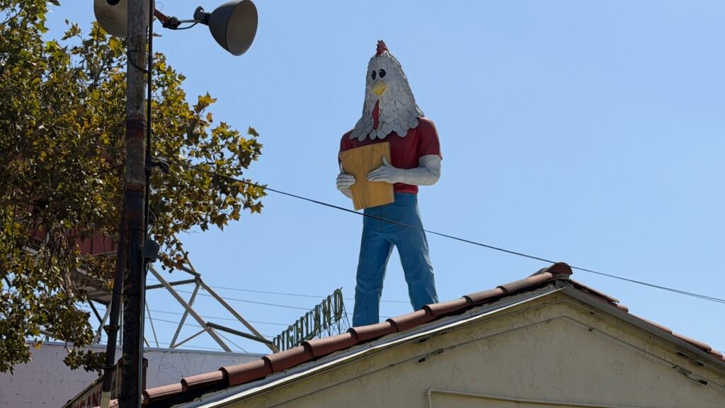 RT 66 Chicken Boy