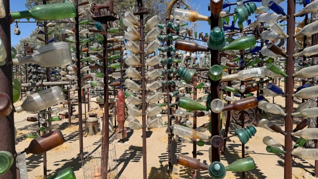 Bottle Tree Close Up