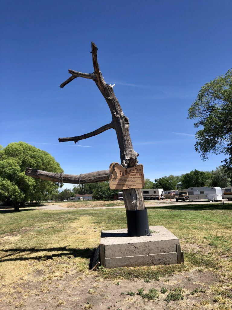 Hanging Tree