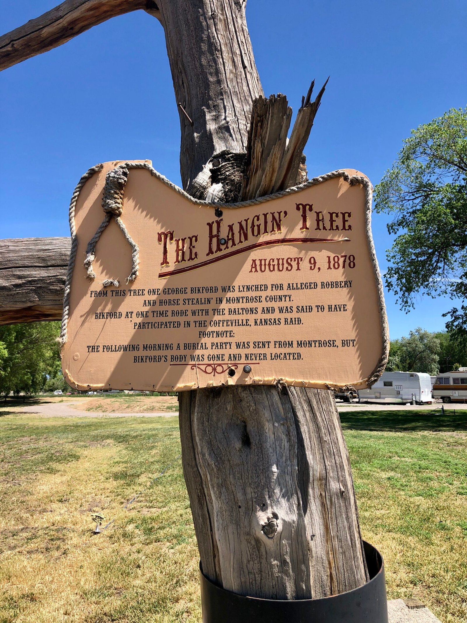 Hanging Tree Sign