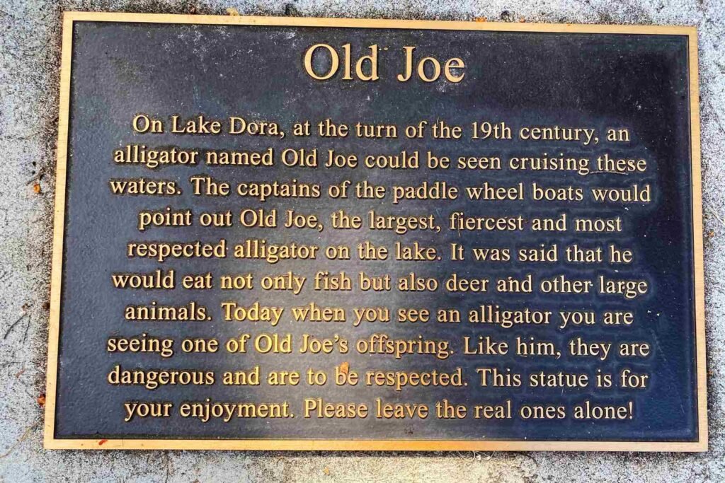 Plaque at Old Joe Statue