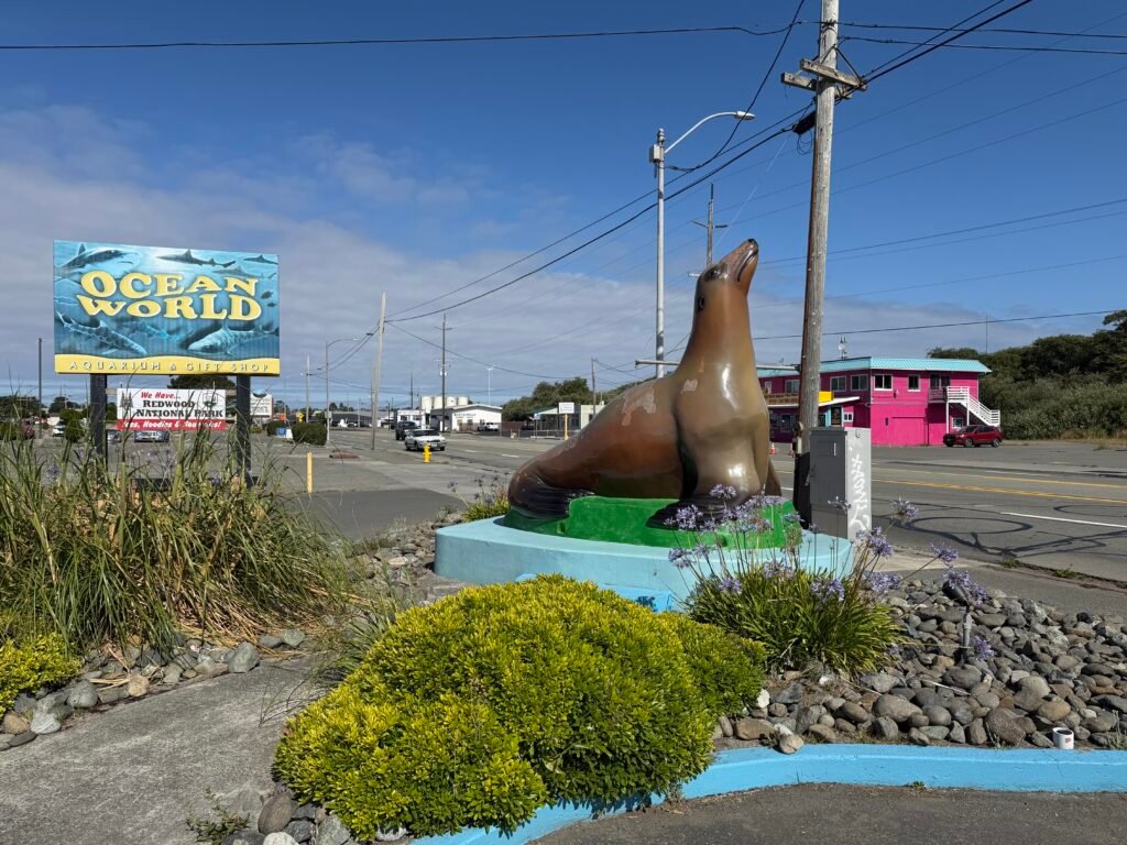 Seal Statue at Ocean World