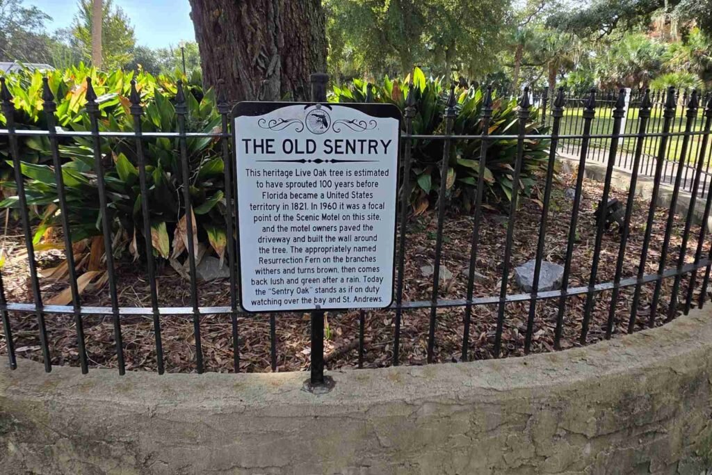 The Old Sentry Tree Sign