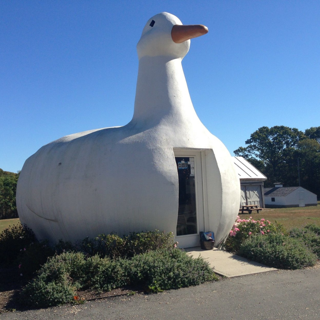 Big Duck