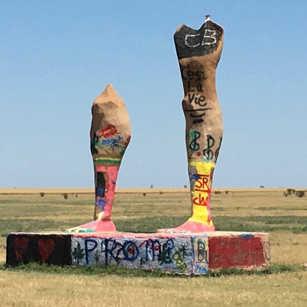Huge Pair of Legs in Texas