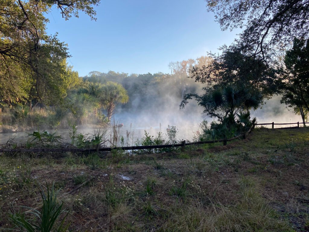 Fog Over The Springs