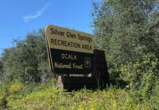 Silver Glen Springs Sign