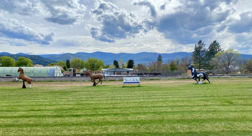 Wild Stallions On The Plains