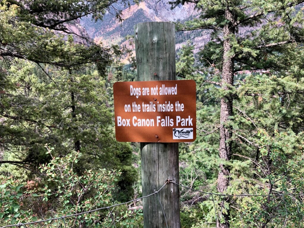 Dogs Not Allowed On Trail