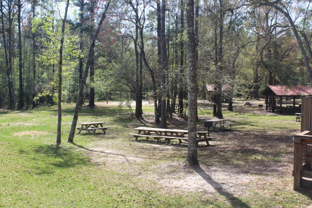 Picnic Area at Ponce de Leon