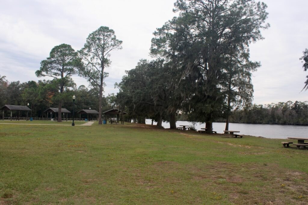 A view of Russell Harber Park