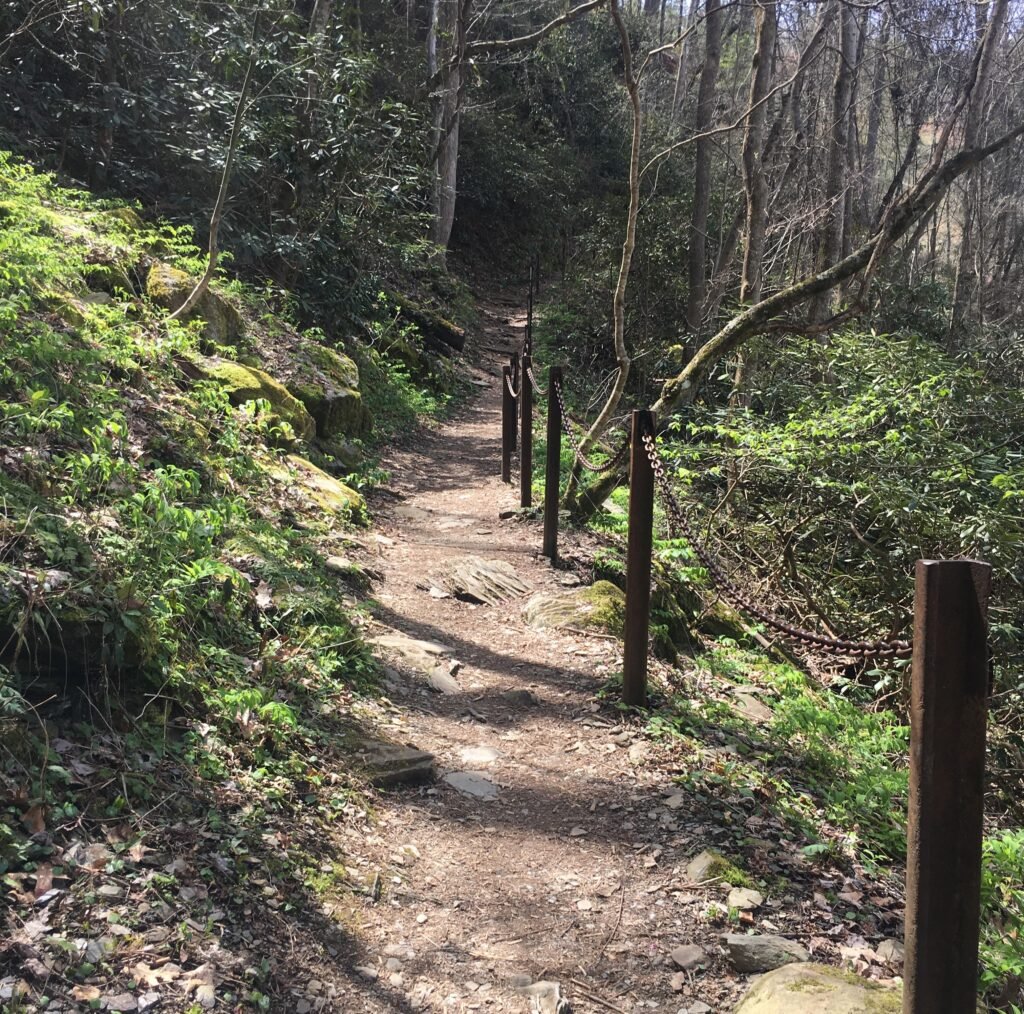Bald River Falls Trail