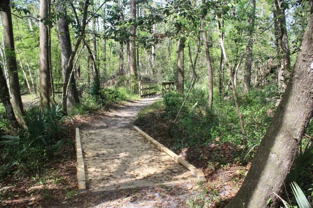 Ponce de Leon Walking Trail