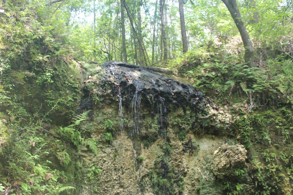 Falling Water State Park Waterfall