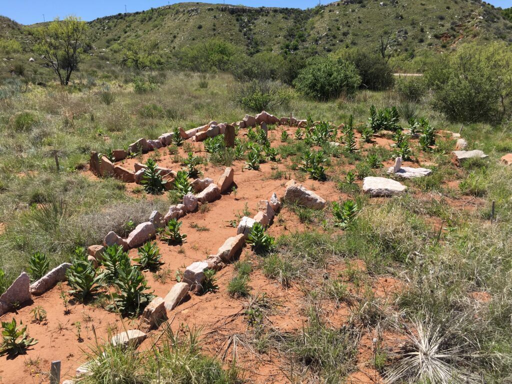 Garden Surrounded by Rock