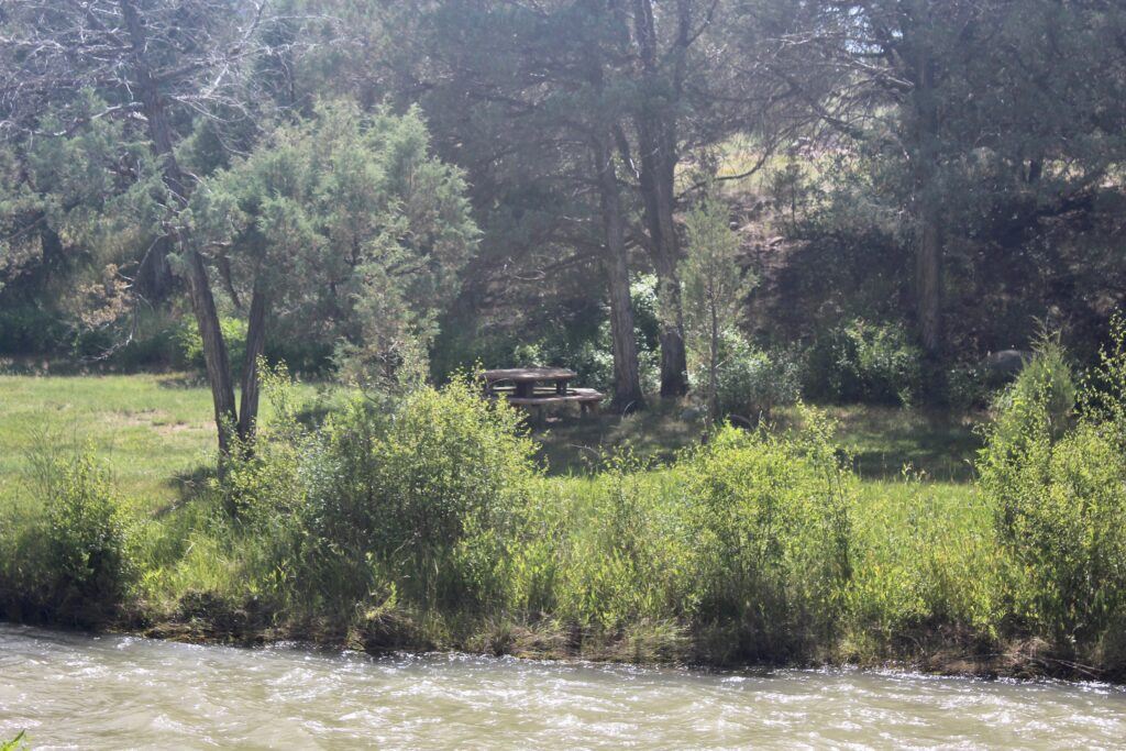 Picnic Table by the Water