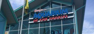 Ripley's Sign