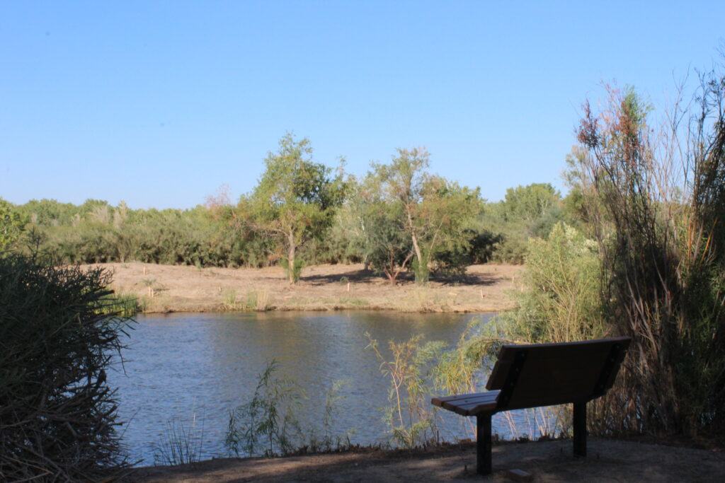 Bench by the Water