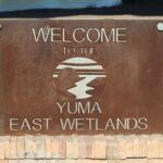 East Yuma Wetlands