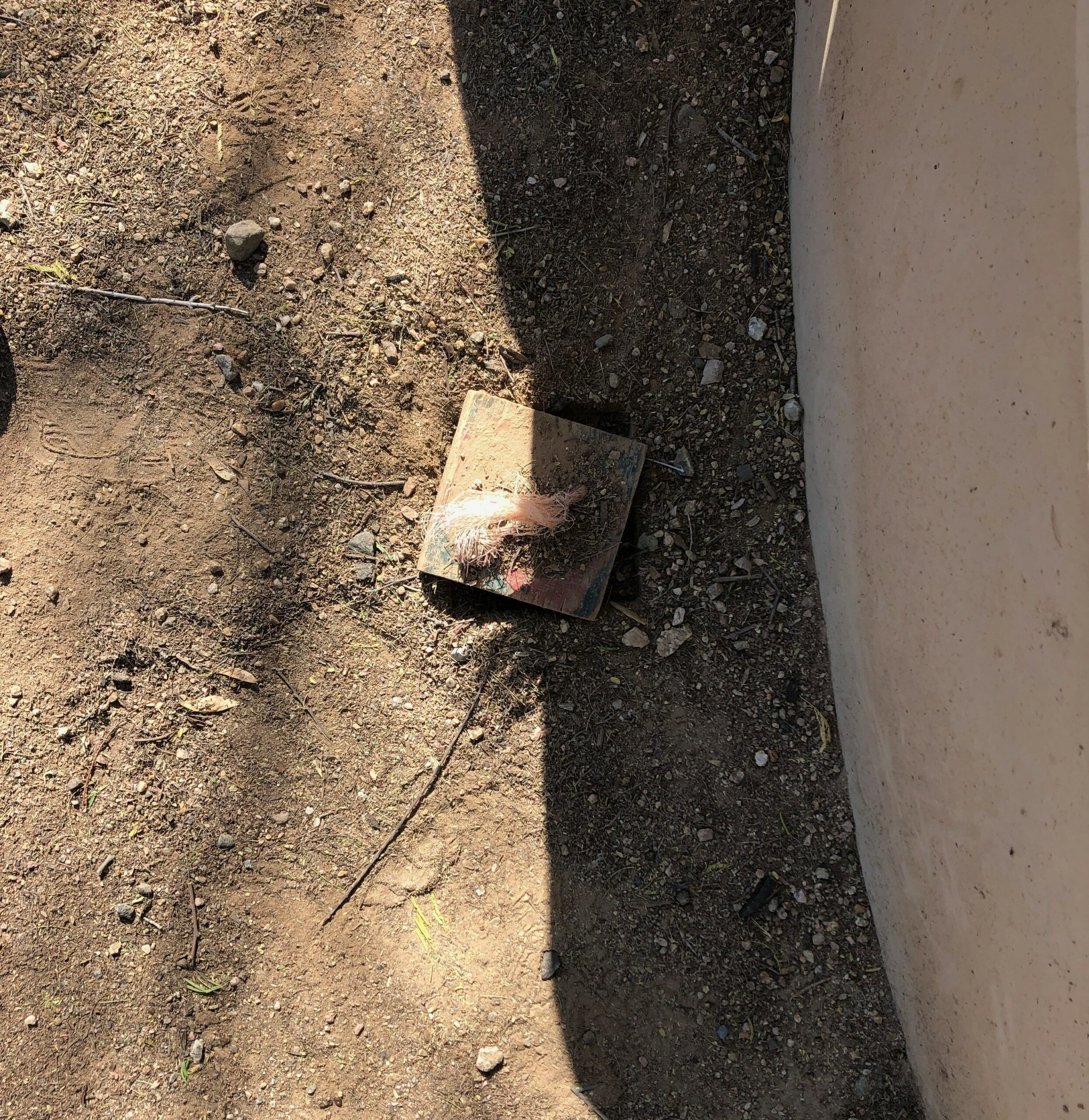 Red Box Geocache
