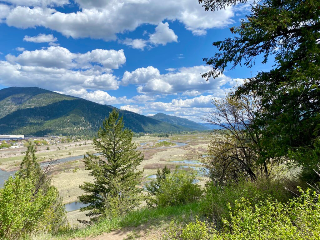 Milltown State Park View from the Top