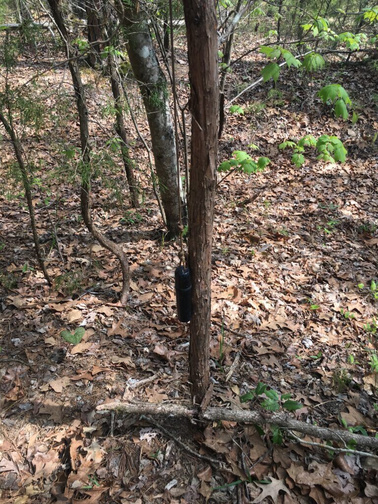 Totally Tubular Geocache