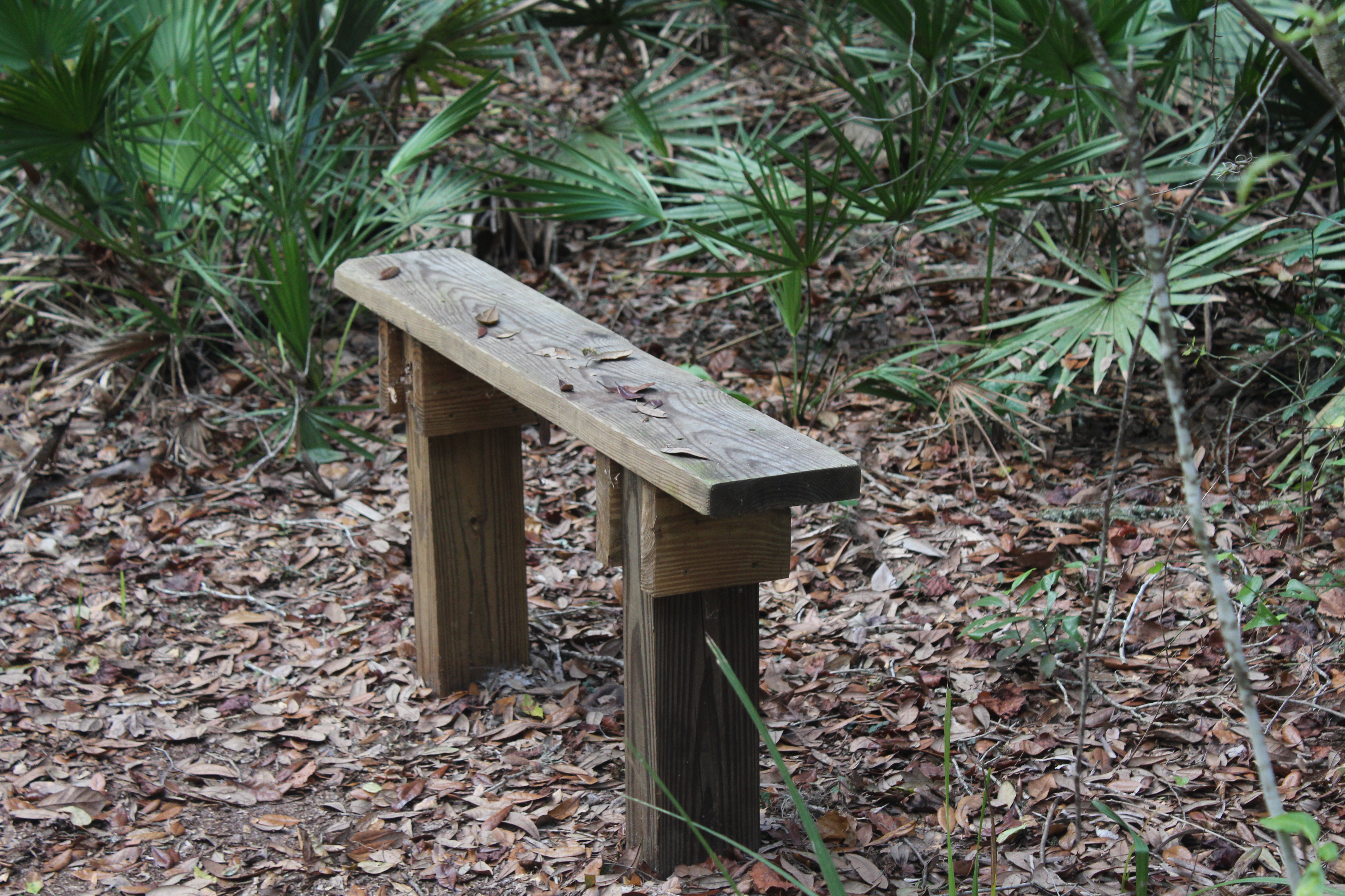 Bench on the Trail