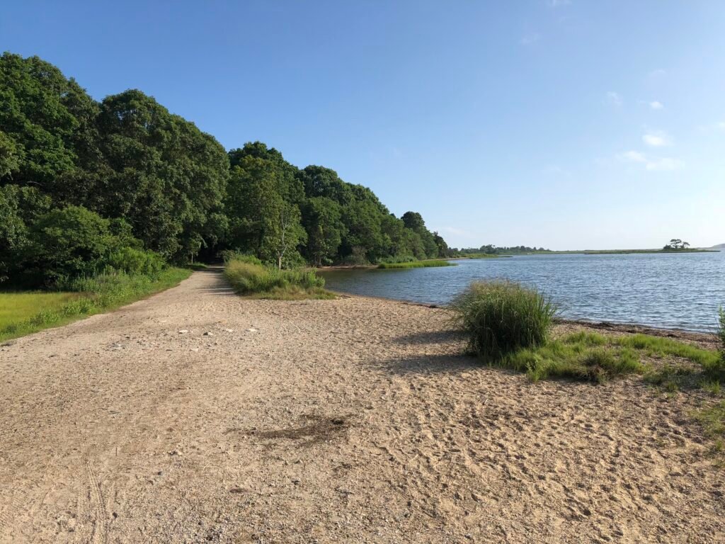 Beach at Bluff Point