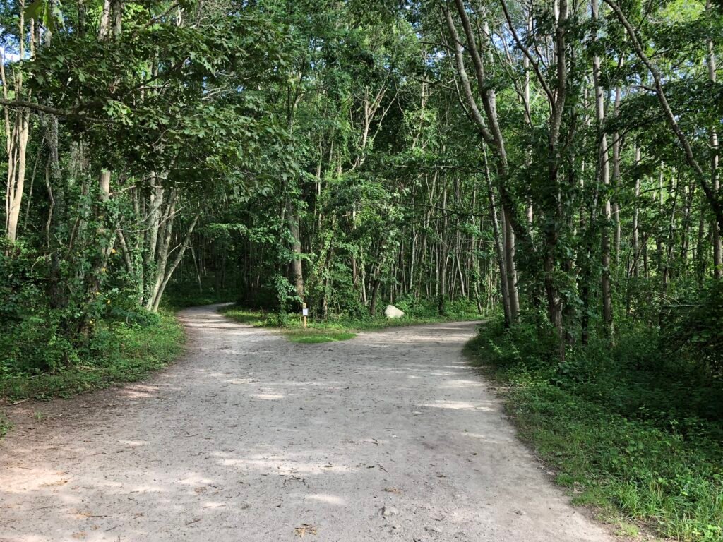 Y Trail at Bluff Point