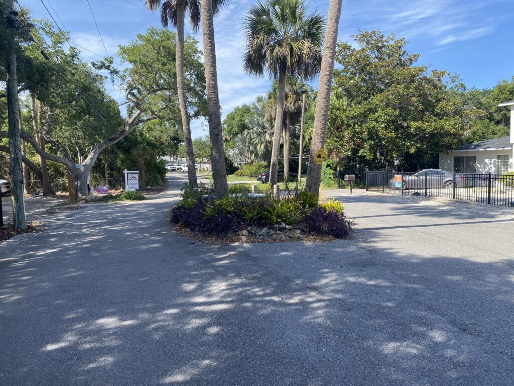 Grave In The Middle Of The Road