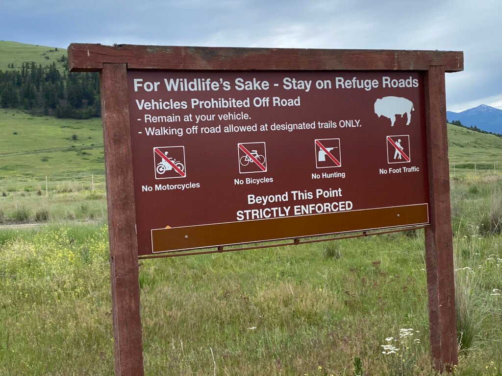 Safety For Wildlife Sign