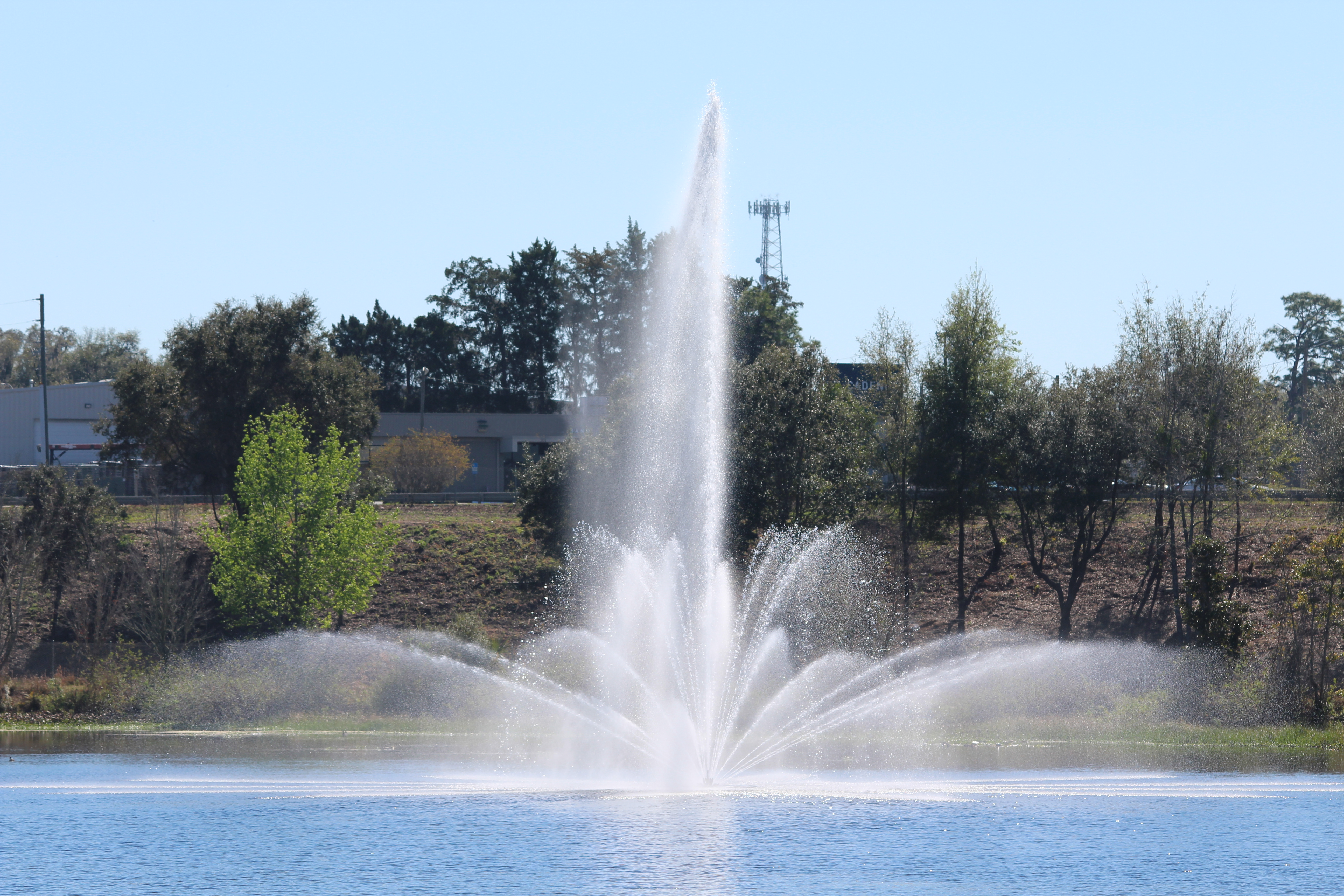 Fountain