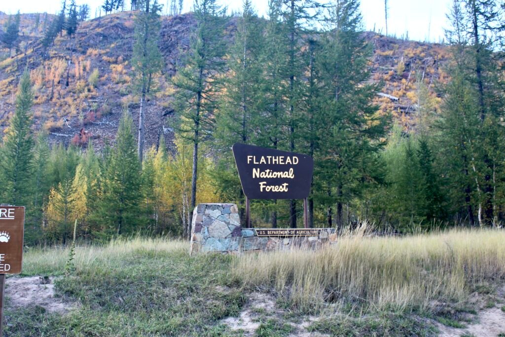 Sign for Flathead National Forest