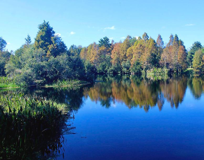 South Lake Howard