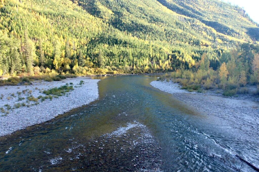 Glacier National Park Stream
