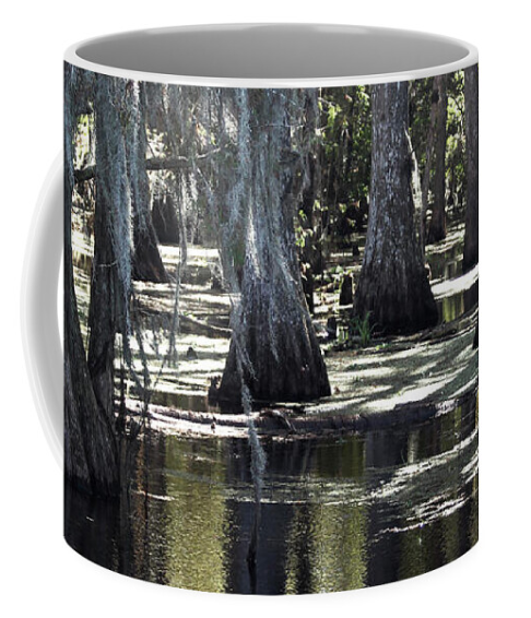 Coffee Mug Bald Cypress 