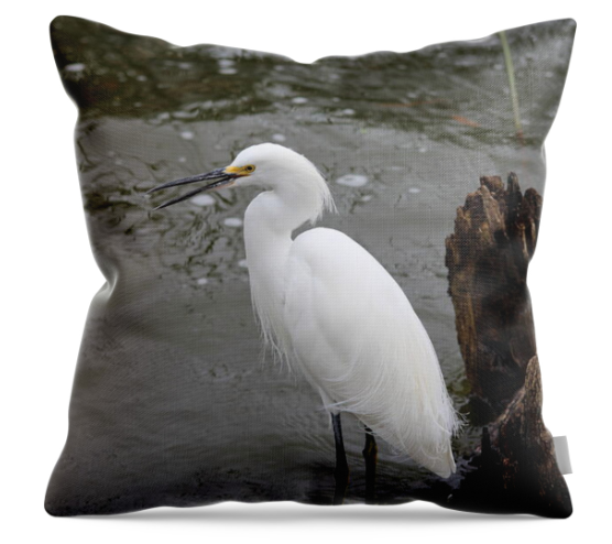 Side Bar Singing Snowy Egret Throw Pillow