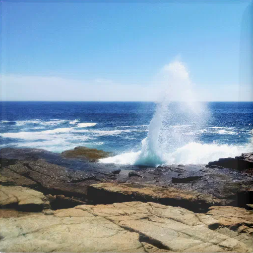 Magnet Of Schoodic Point