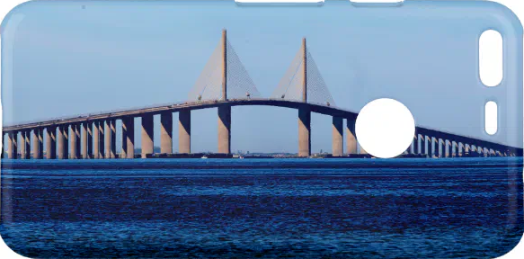 Google Case Skyway Bridge