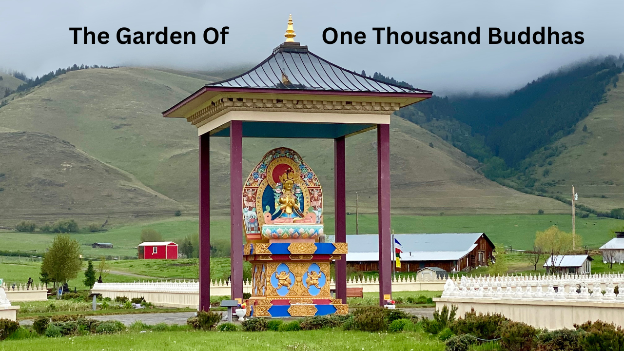 Garden of 1000 Buddhas Entrance