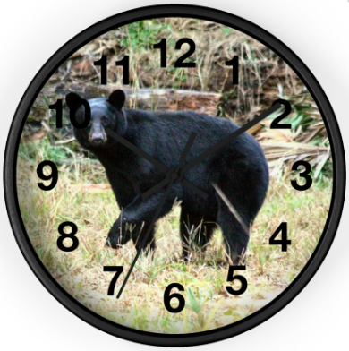 Florida Black Bear Clock Printify