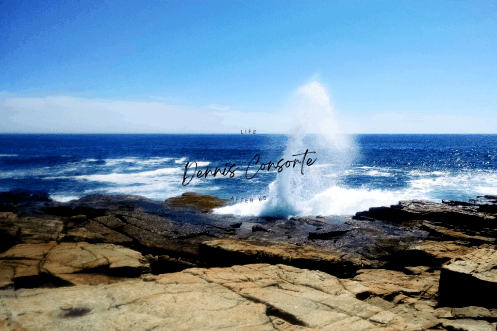 Schoodic Point