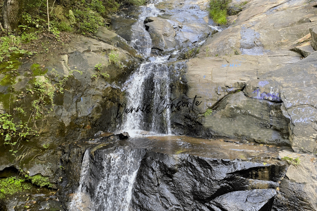 Silvervale Falls