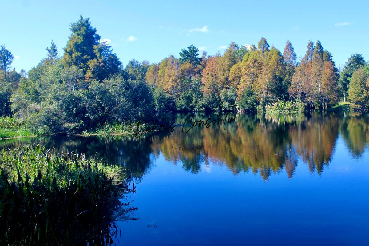 South Lake Howard