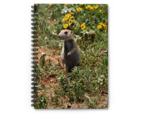Squirrel Notebook Printify