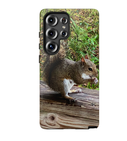 Squirrel Galaxy Case Printify