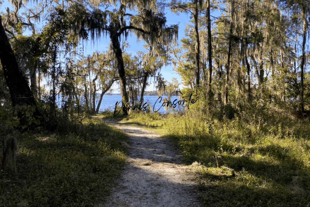 Trail By The River